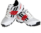 Zigaro Duster White Cricket Shoes (White, Black)